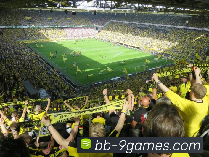 多媒体互动体验